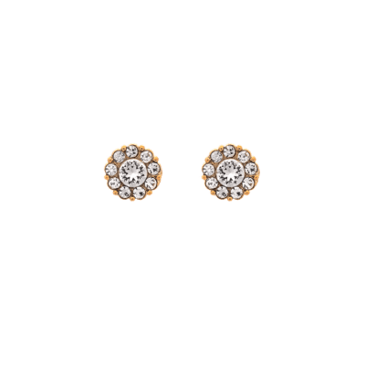 Petite Sofia örhängen | Crystal (Guld)
