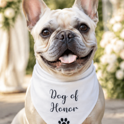 Dog of Honor Hund bröllops scarf